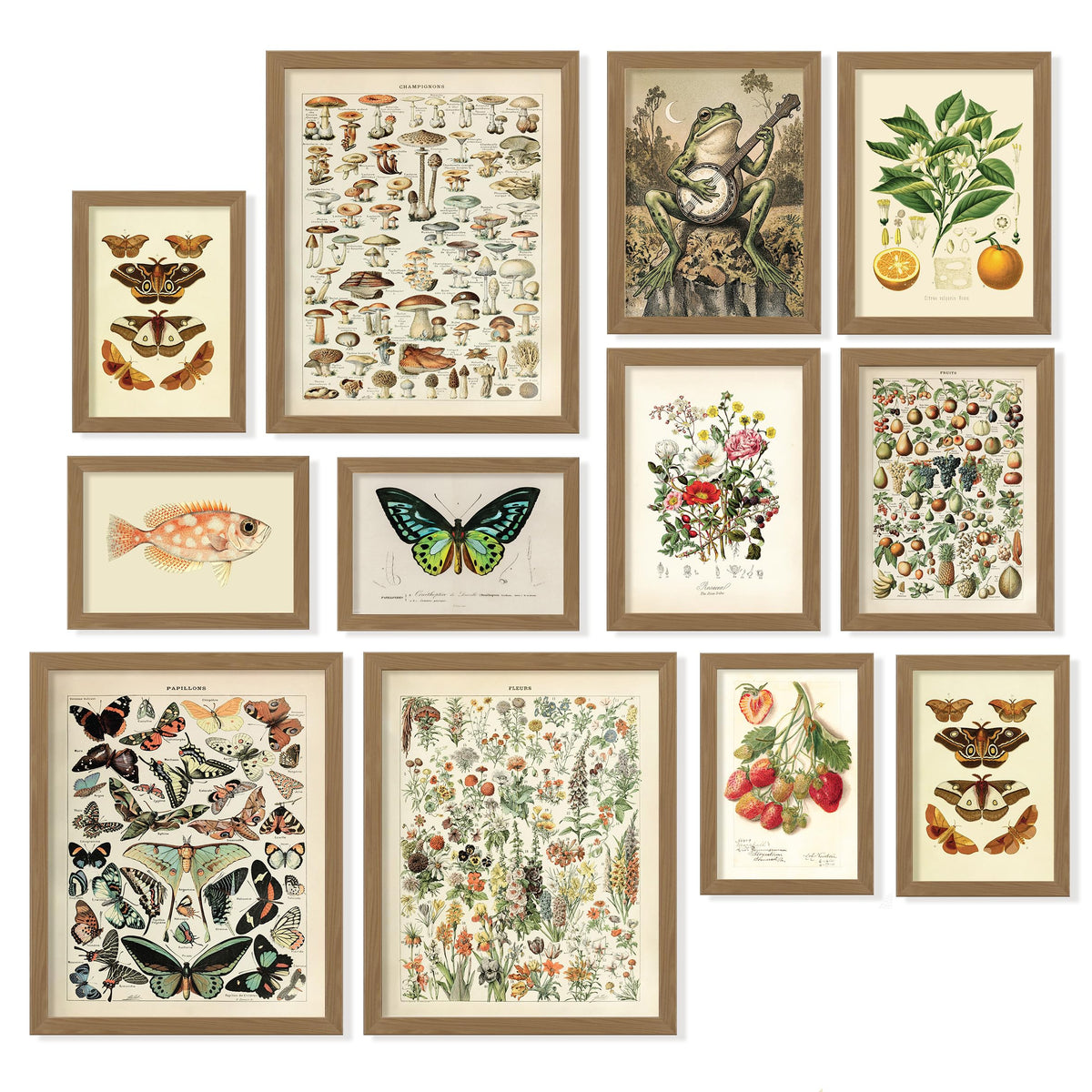 Dark Academia Wall Art Unframed, 12pcs Gothic Prints for Wall Decor